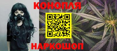 стаф Пенза