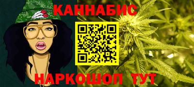 стаф Пенза