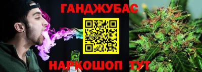 стаф Пенза