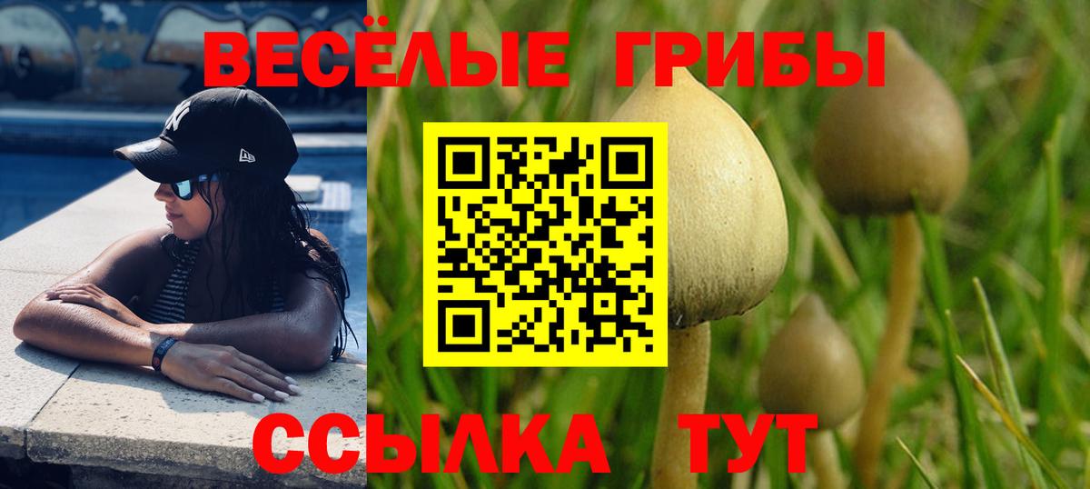 Галлюциногенные грибы Cubensis  Галлюциногенные грибы Magic Shrooms  Вход с VPN  Сердобск 